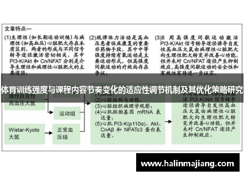 体育训练强度与课程内容节奏变化的适应性调节机制及其优化策略研究