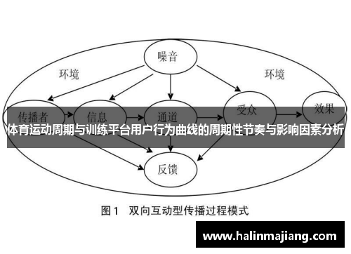 体育运动周期与训练平台用户行为曲线的周期性节奏与影响因素分析