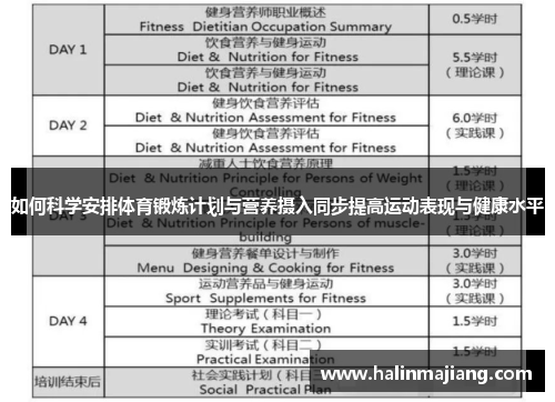如何科学安排体育锻炼计划与营养摄入同步提高运动表现与健康水平