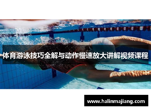体育游泳技巧全解与动作慢速放大讲解视频课程