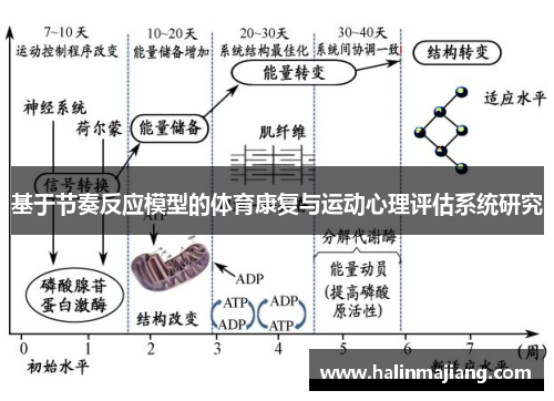 基于节奏反应模型的体育康复与运动心理评估系统研究